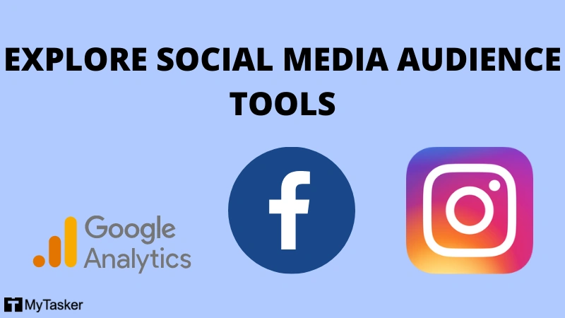 social media audience insight tools